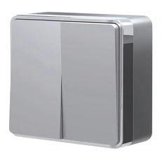 Изображение Выключатель двухклавишный Gallant (серебряный) W5020006