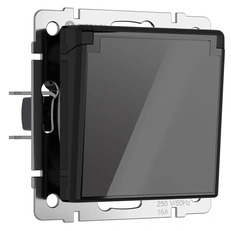 Изображение Розетка влагозащищенная с заземлением с крышкой и шторками (черный акрил) W1171248